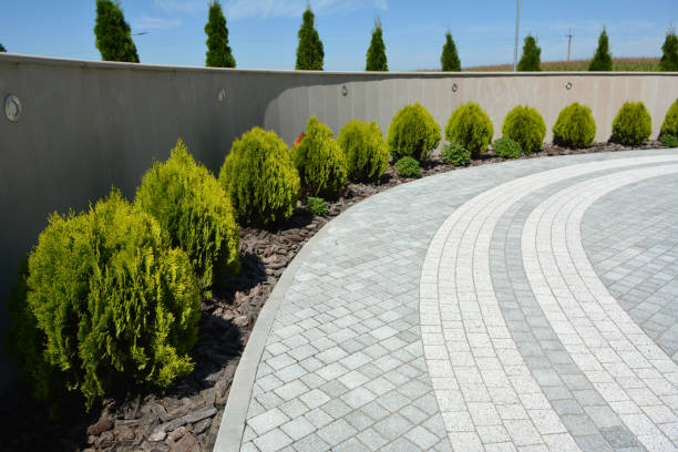 Best Custom Driveway Pavers  in Dickinson, TX